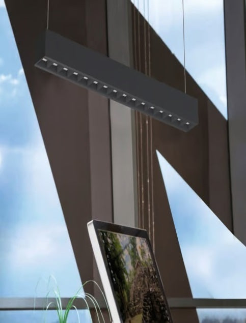 Lineal Dimerizable Nagoya II